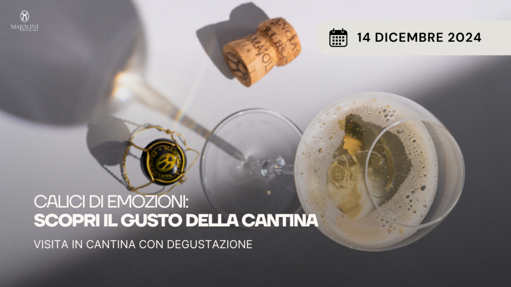 CALICI DI EMOZIONI: SCOPRI IL GUSTO DELLA CANTINA