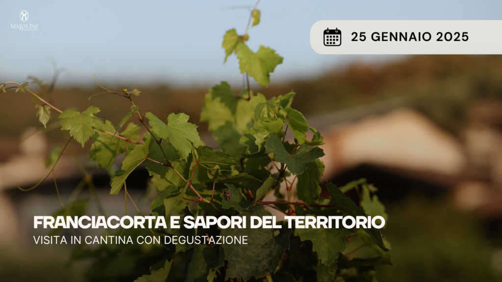 Majolini Experience: Franciacorta e Sapori del Territorio